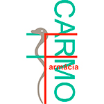 Logo Farmácia do Carmo